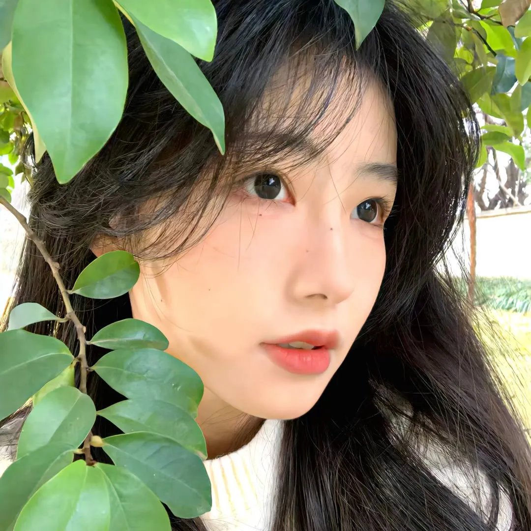 异星迷航